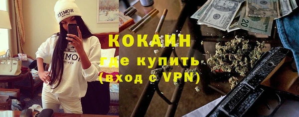 крисы Абаза