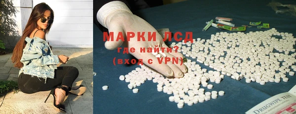 крисы Абаза